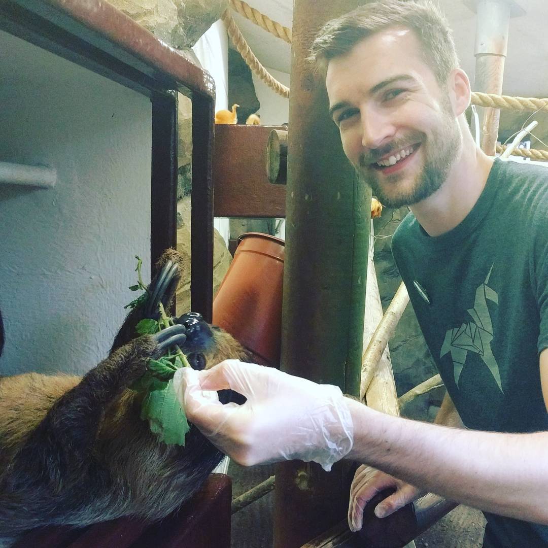 Feeding sloths