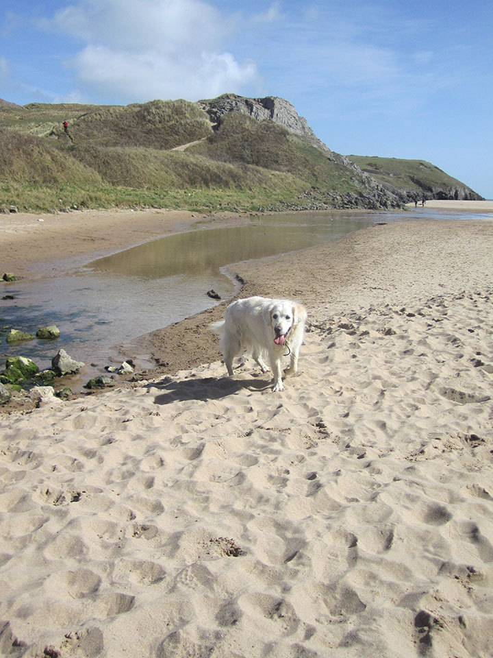 Bosherston Beach, Pembrokeshire