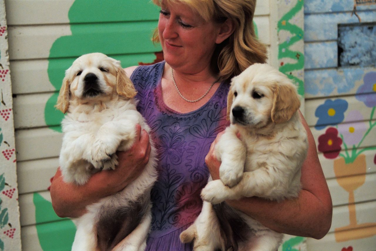 As a fluffy puppy